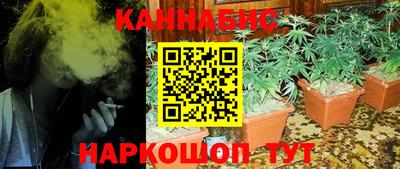 гидра Павлово