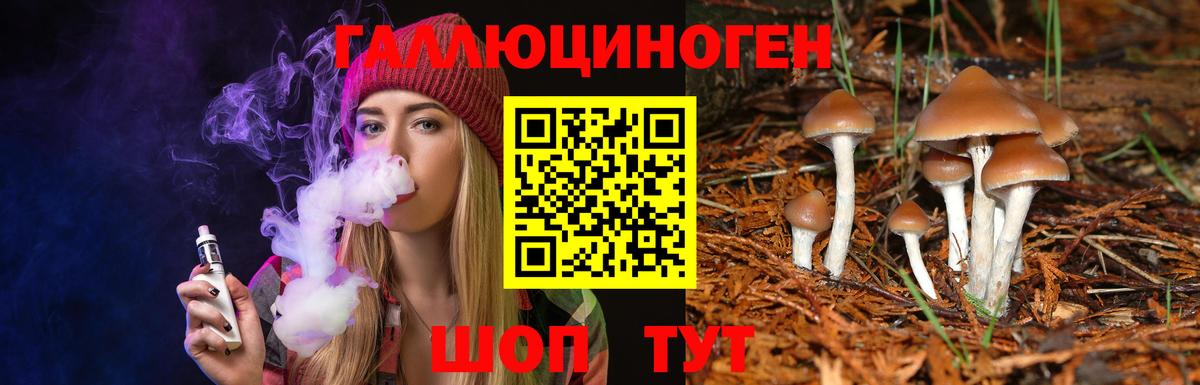 Псилоцибиновые грибы мухоморы Губаха