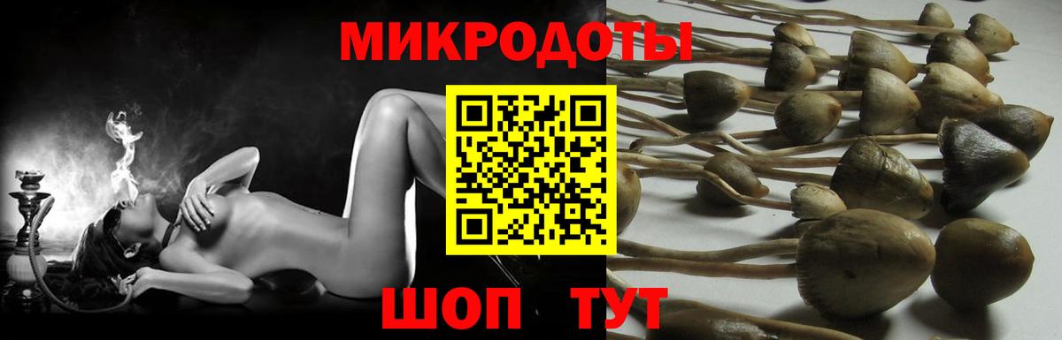 Губаха  Псилоцибиновые грибы ЛСД  Вход с VPN  Псилоцибиновые грибы Psilocybe 